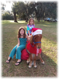 Rio, the Christmas Mini Horse