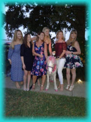 Unicorn in the garden